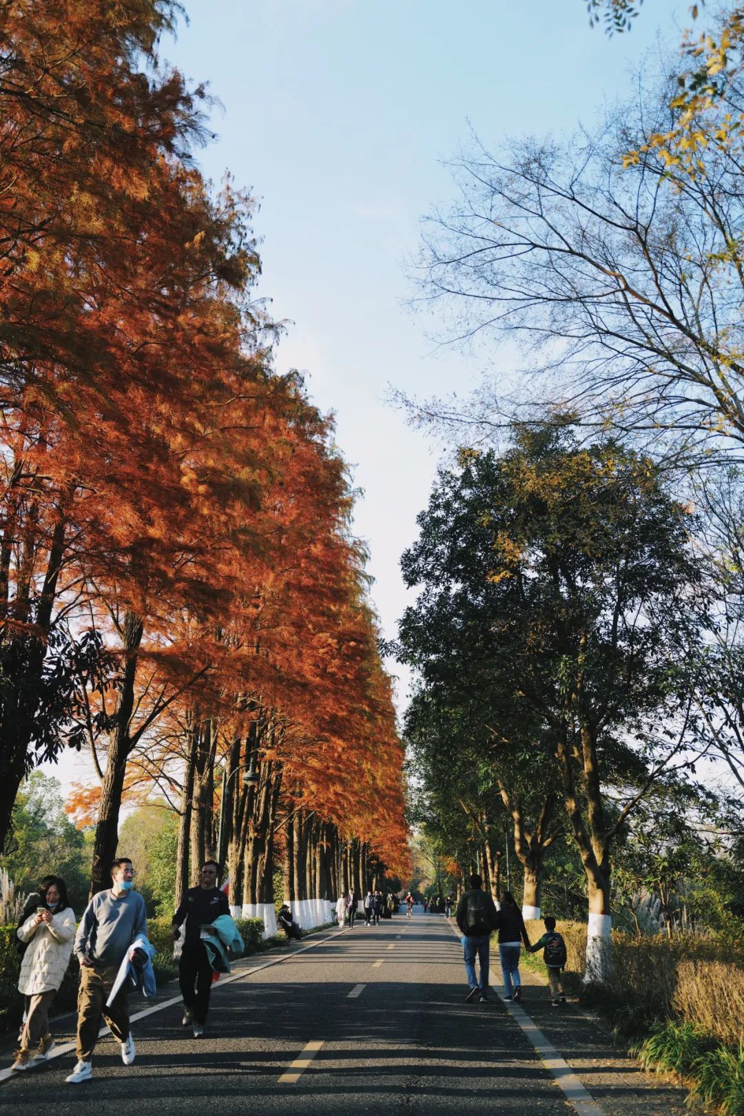 春天的潺潺溪水,春天的顶流