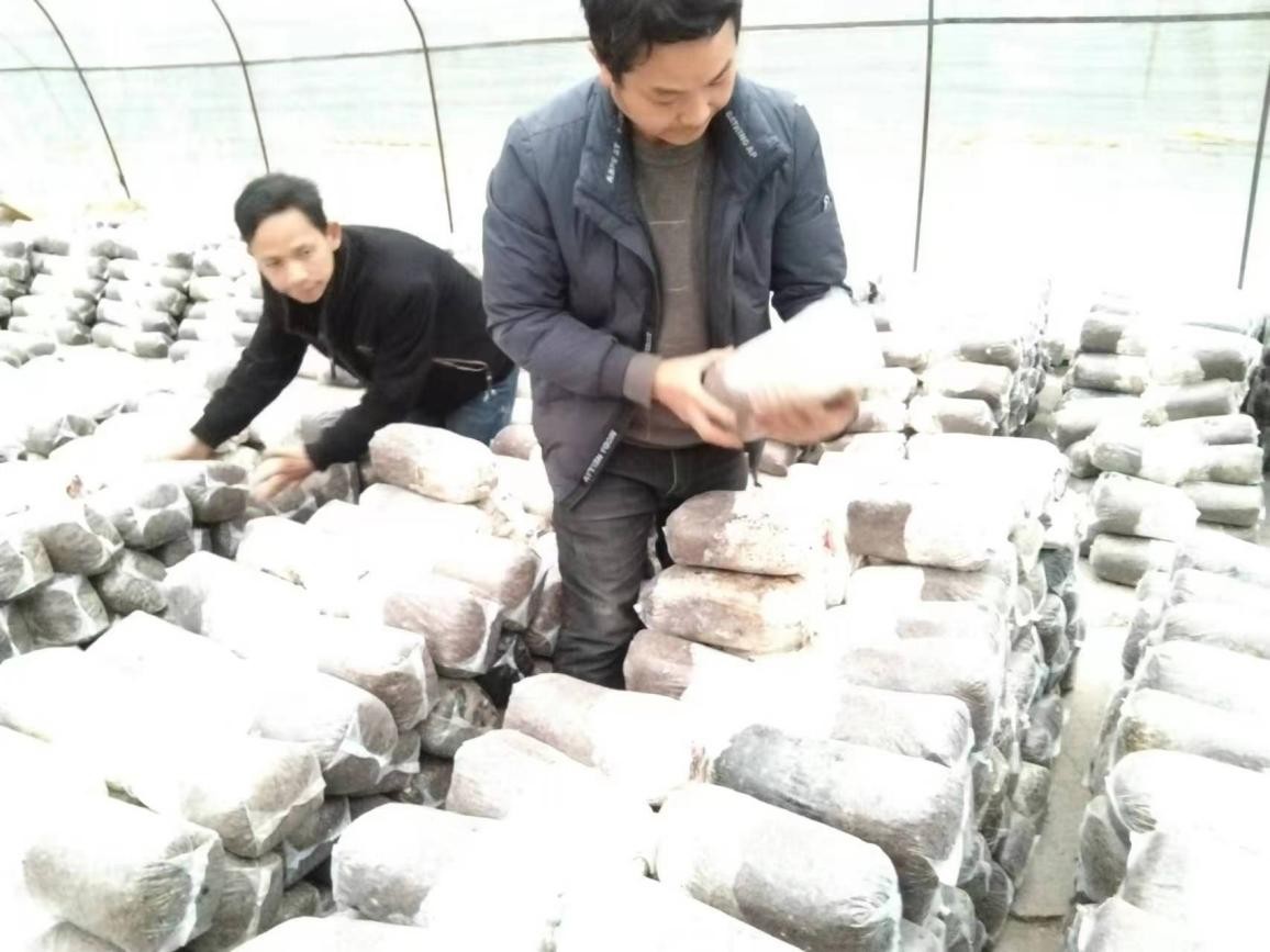 潘远良：身残志坚引领残疾人创业就业的拓荒者