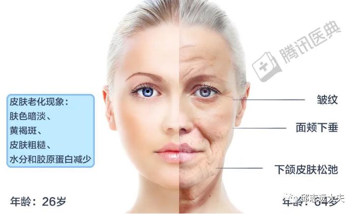 怎么让时光真实倒流,怎么让时光倒流十分钟