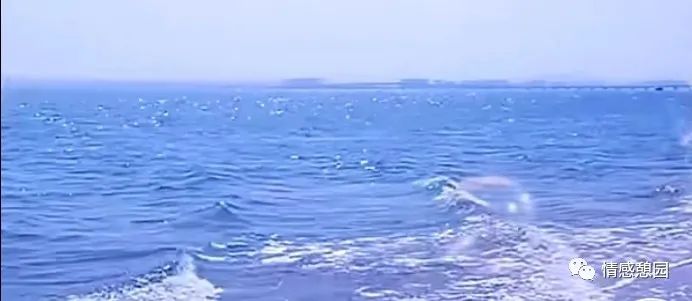 一段路一段情的唯美句子,一段路一段缘