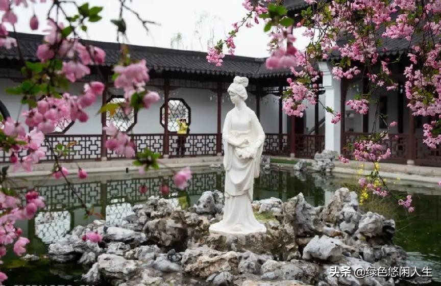 玉堂春富贵指哪些花,玉堂锦绣富贵春寓意