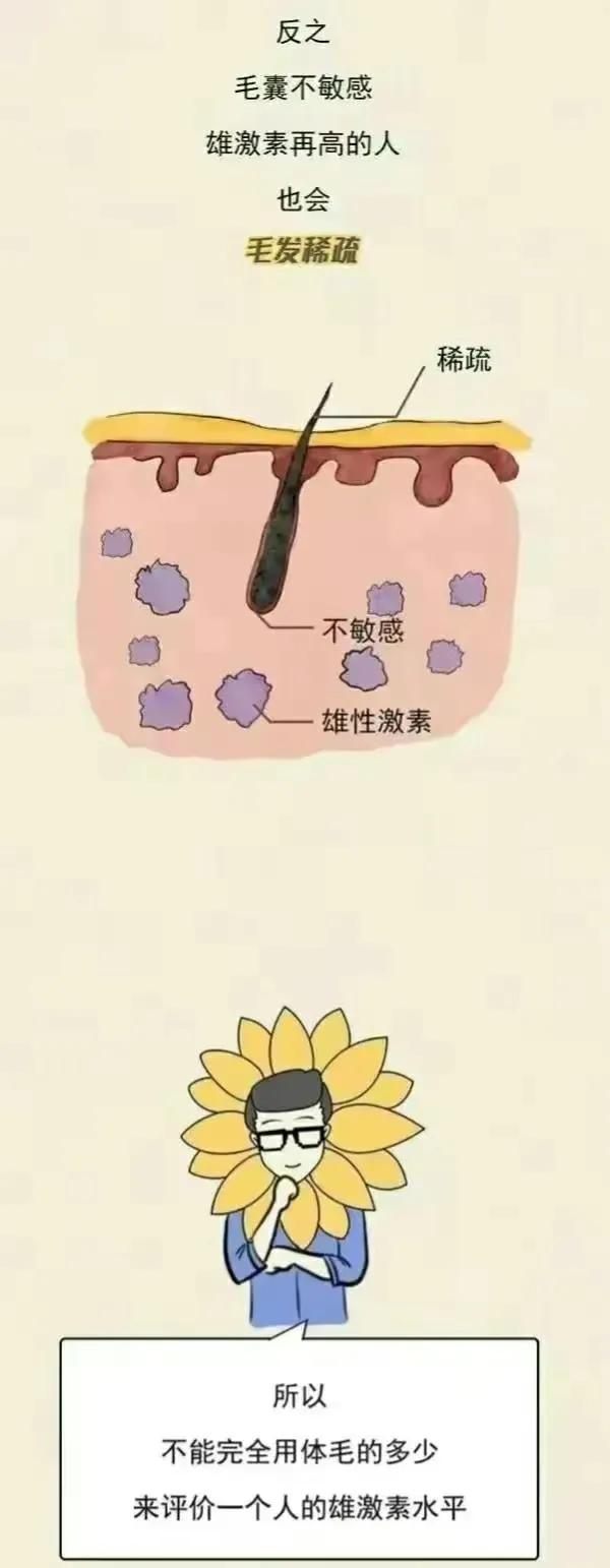 男人的毛发旺盛代表什么,体毛多的男人是雄激素旺盛吗