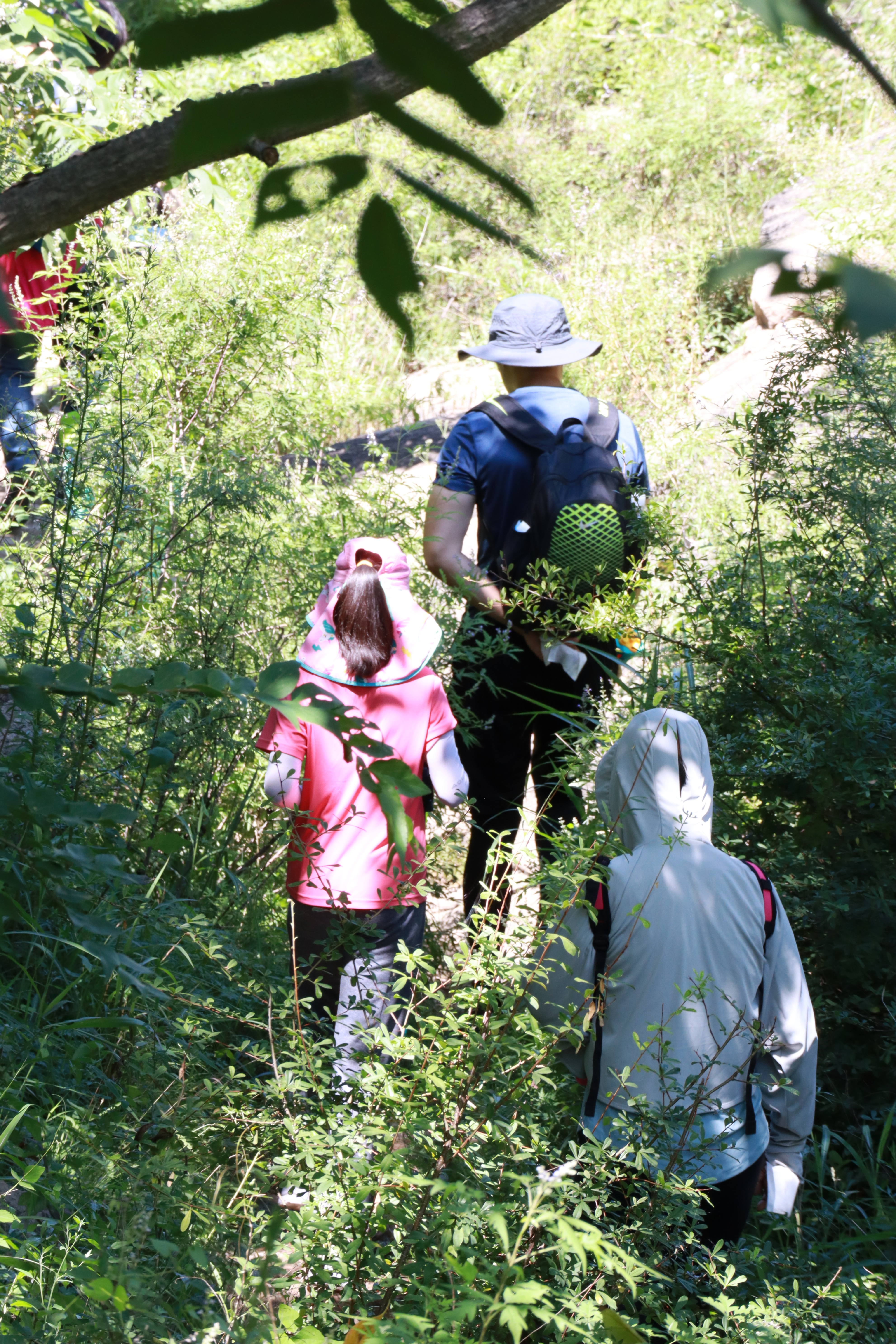天津春天亲子徒步旅游路线推荐,天津户外徒步一日游推荐