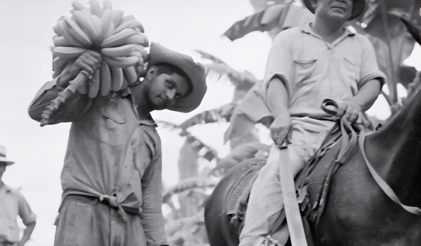 世界杯各国足球惨案,足球世界杯最大冲突事件