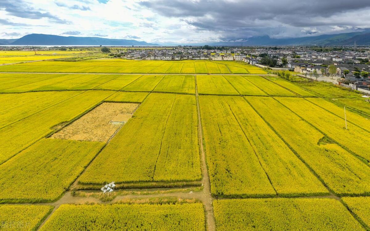 除了热门景点哪里适合旅游,除了春秋旅游还有哪里旅游便宜