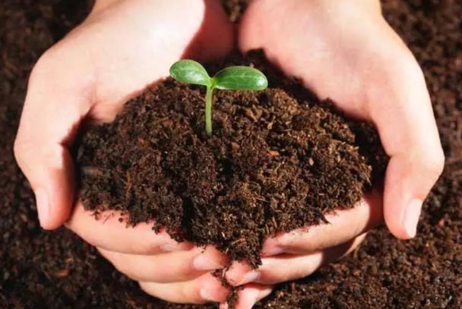 土壤污染防治法的污染担责原则,土壤污染防治法审议通过的时间