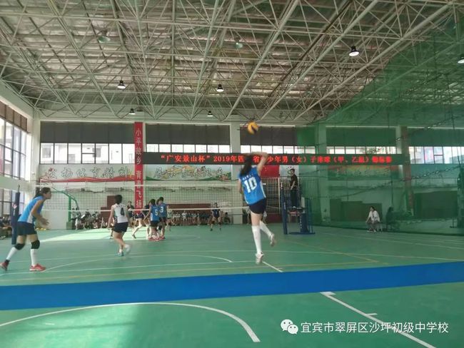 五育并举中学,五育并举硕果累累