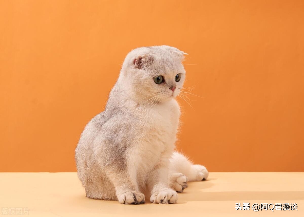 怎么快速提高微头条阅读量,微头条100万展现10万阅读收益多少