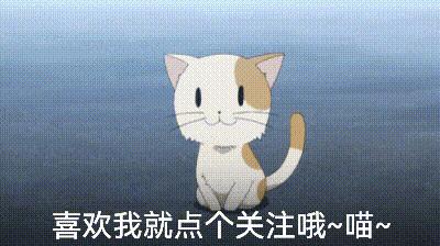 狗狗不拴绳怎么训练,狗狗胆小粘人怎么训练分离