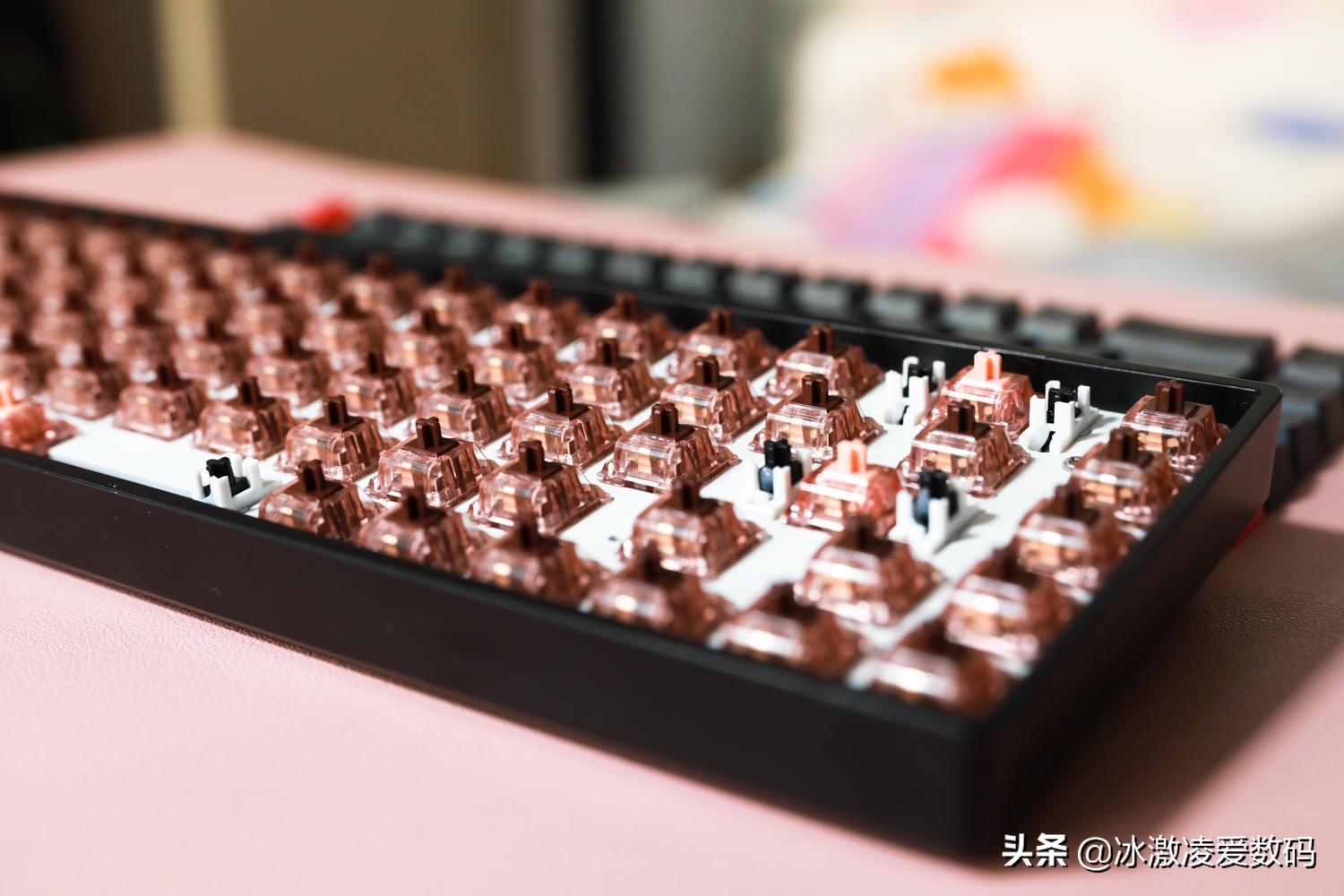 小呆虫键盘各种轴体,200以内办公打字最舒服的键盘