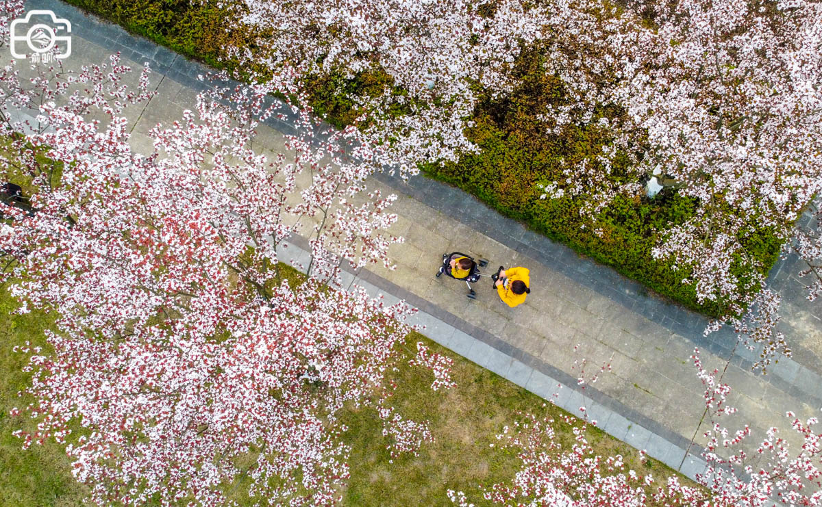 重庆潼南区有哪些好玩的,重庆潼南生态公园
