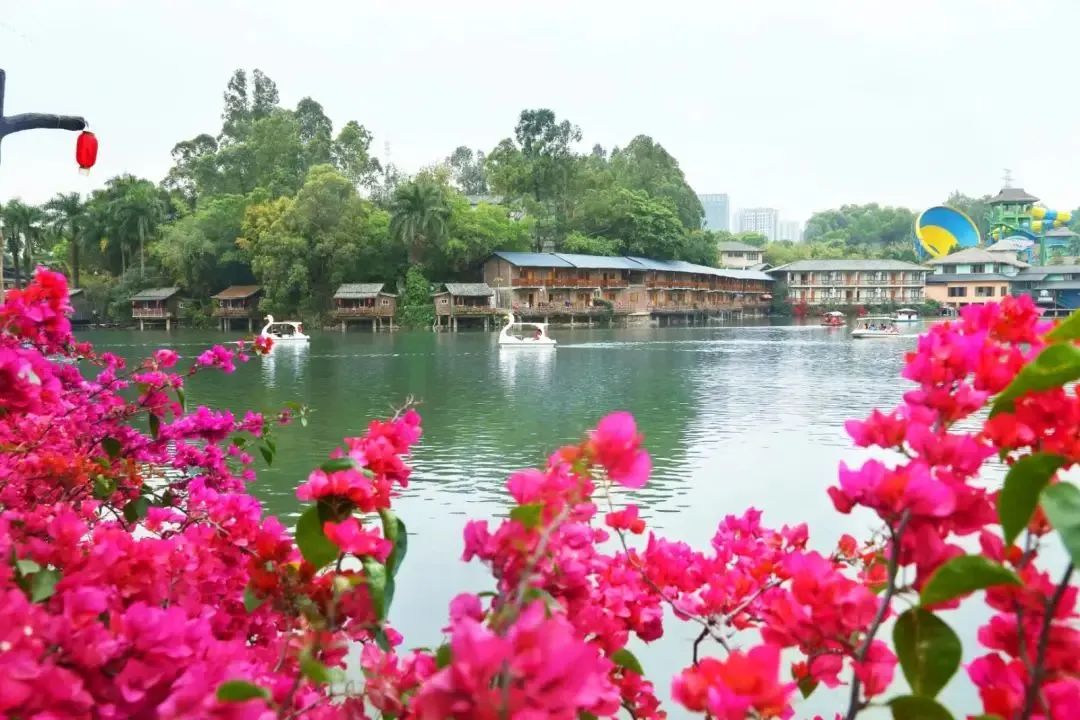 广州出发2-3天短途旅游海边,自驾游深圳大梅沙攻略路线图最新