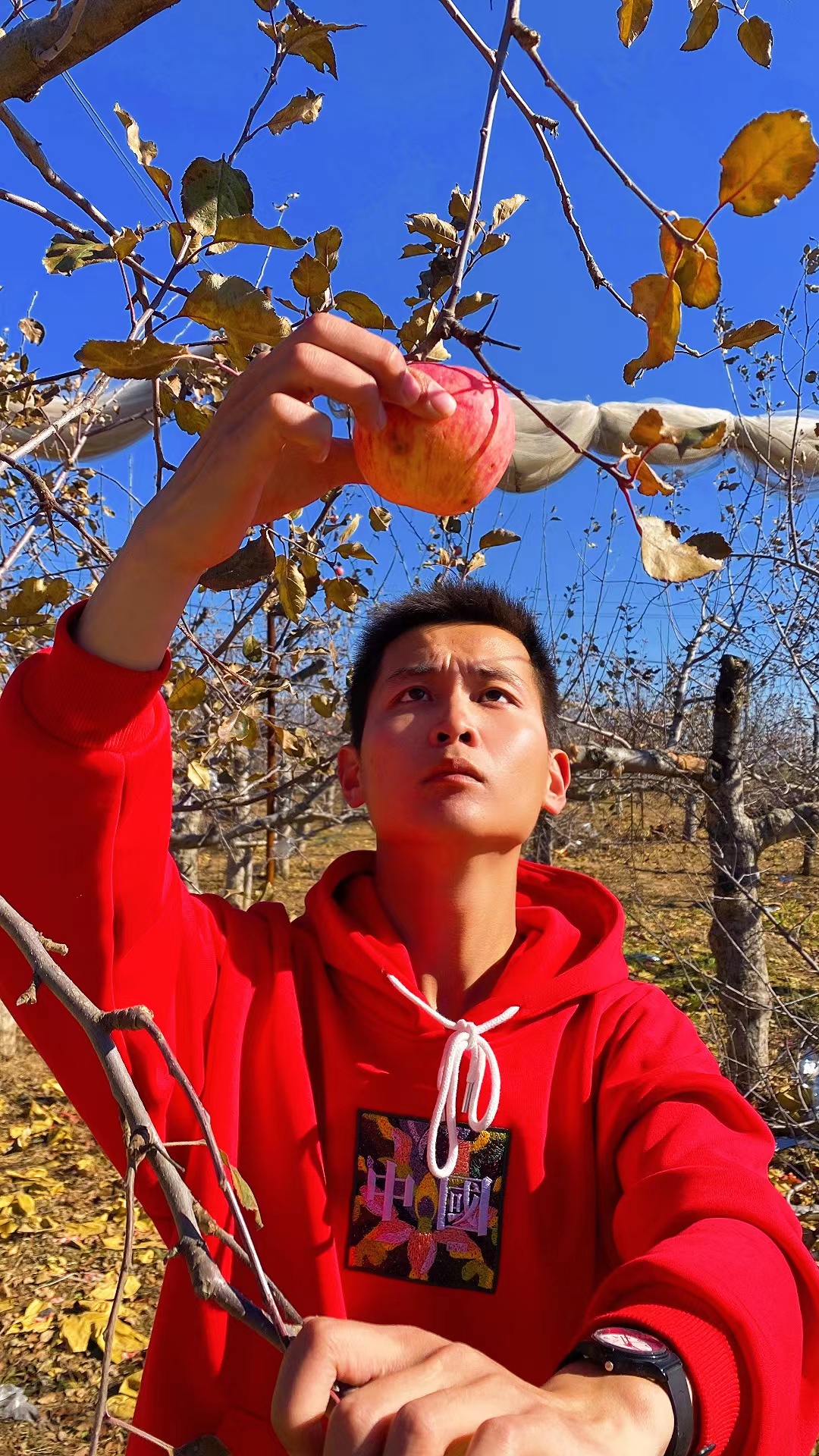 农村创业致富能手推荐,农村人来创业经验分享