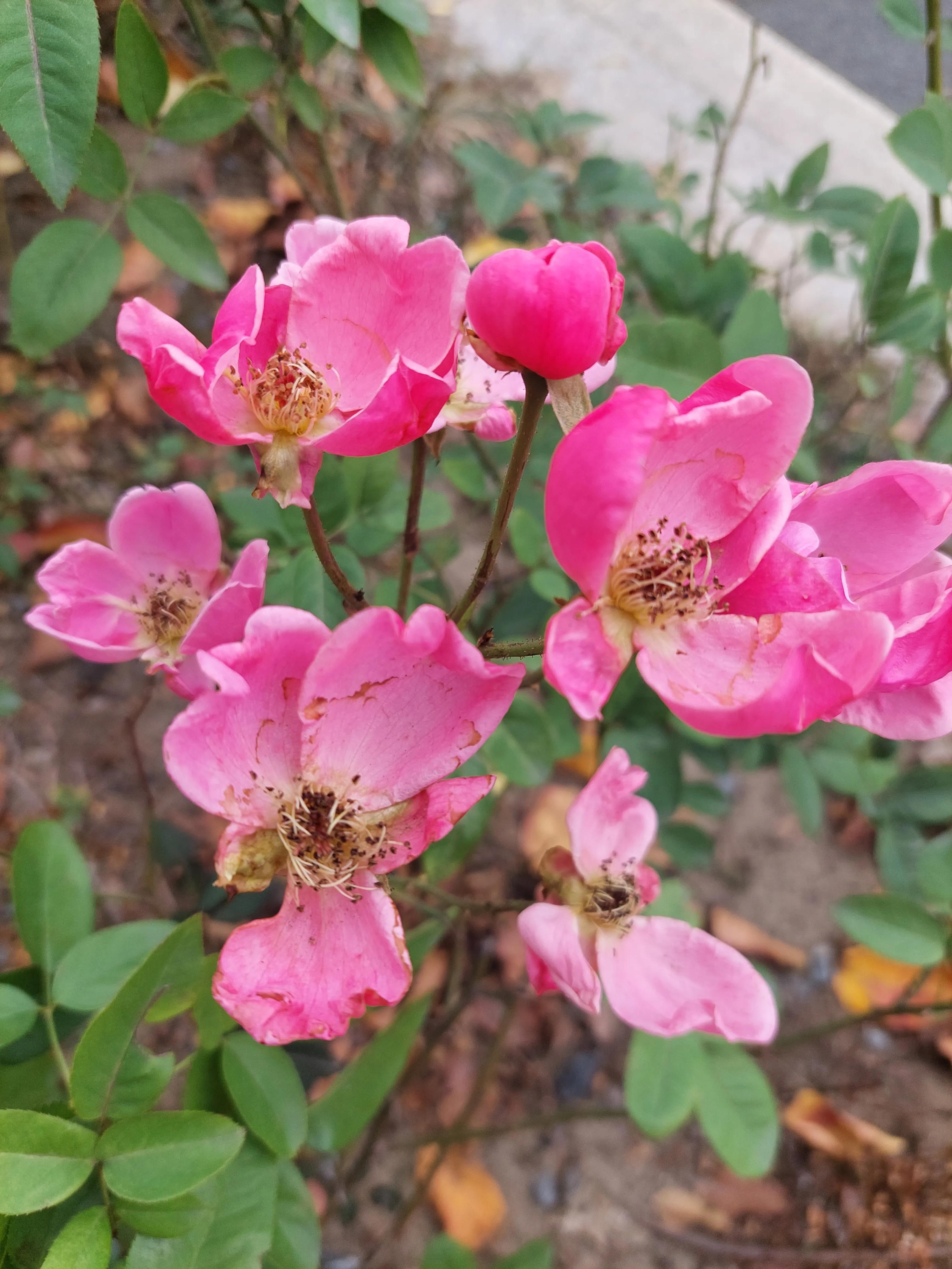 想要足球踢得好,想踢好足球要练什么