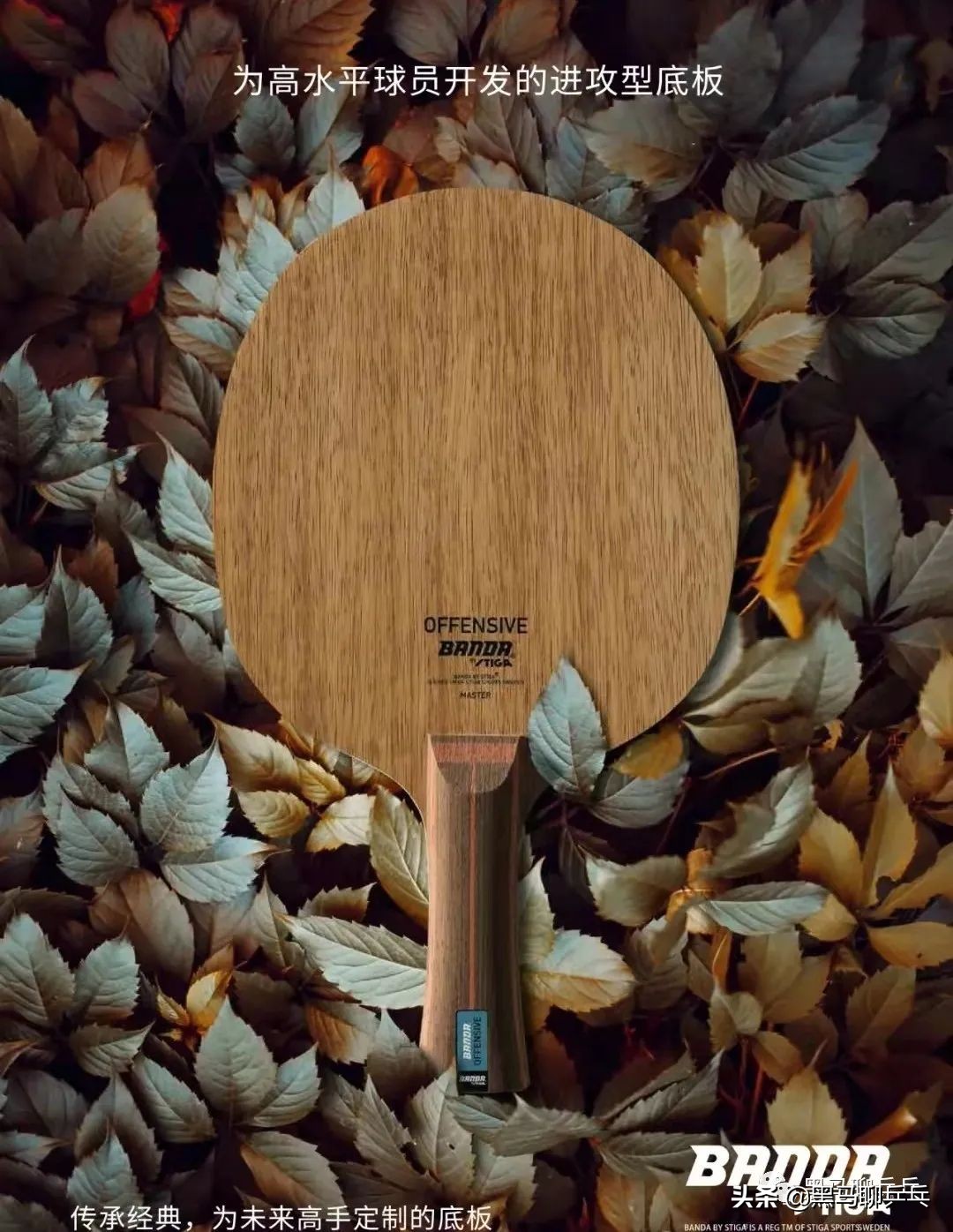 金满贯龙5乒乓球拍配什么胶皮,金满贯乒乓球拍龙5