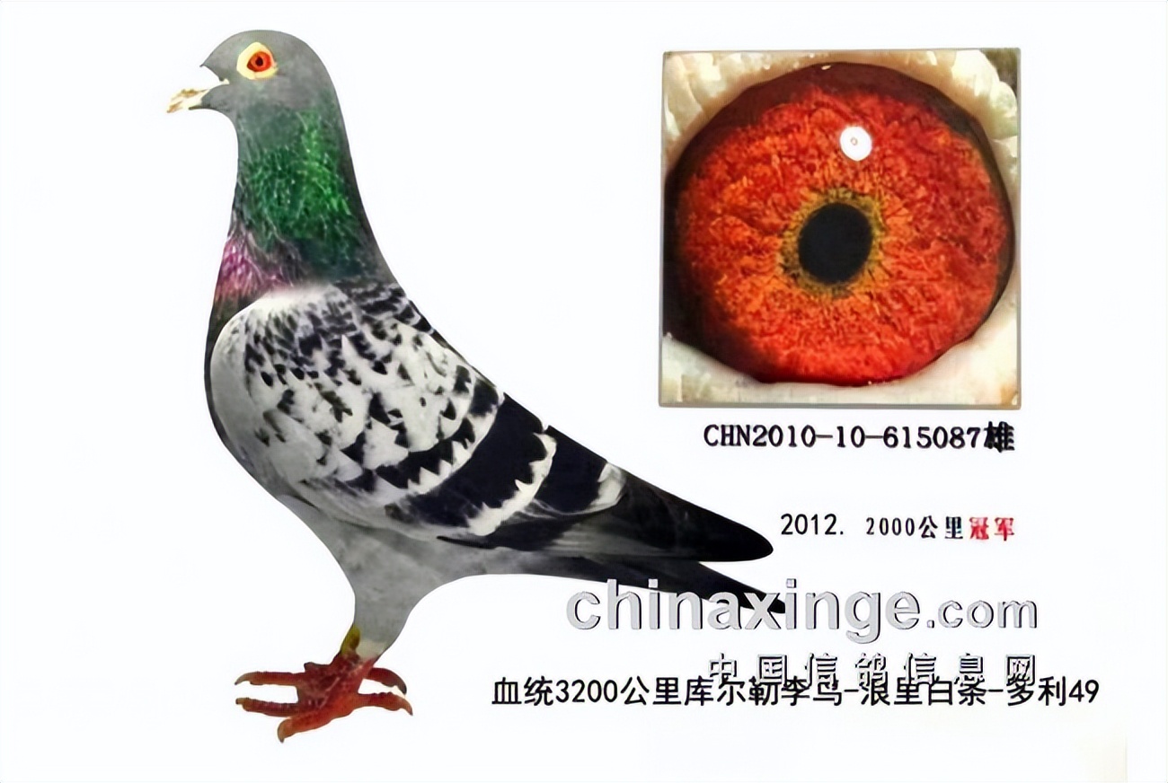 宁镇扬大赛,宁镇扬足球邀请赛