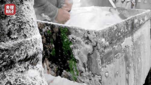 315晚会曝光了这12件事,315晚会曝光后各地反响评论