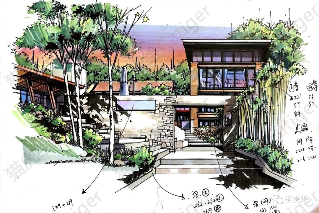 2022猫虎绘暑假手绘班招生简章「线上+线下」