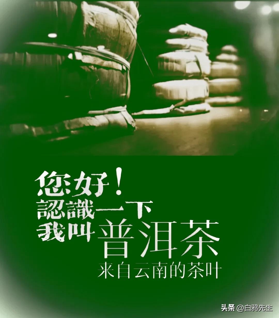 你好!认识一下，我叫“普洱茶”