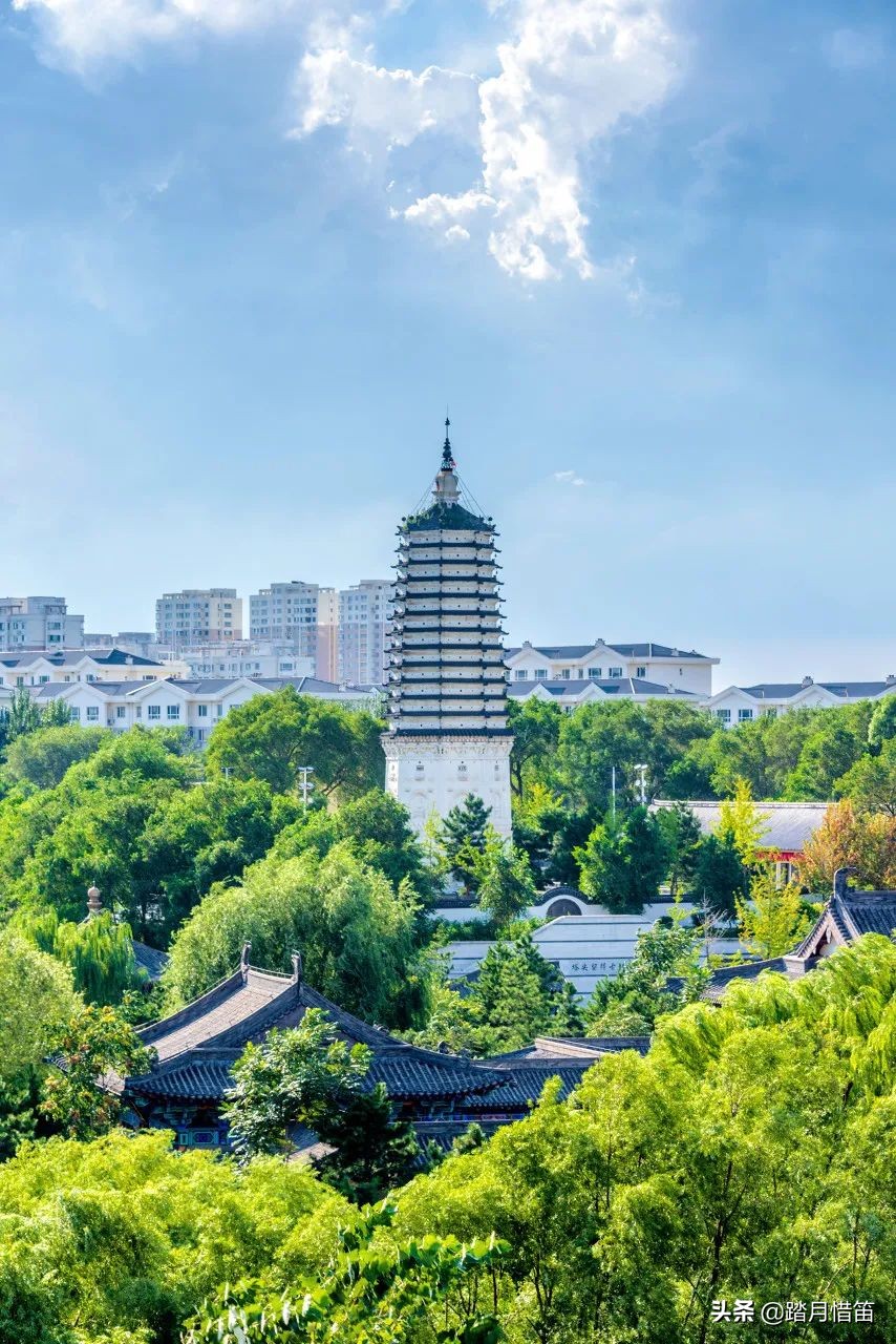 东北沈阳疫情最新通报,东北沈阳疫情