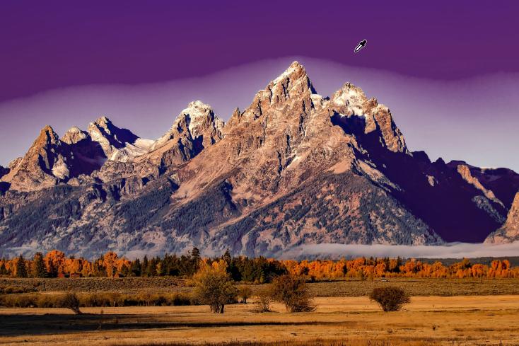 photoshop如何调节色相和饱和度,ps如何利用色相饱和度对图片着色