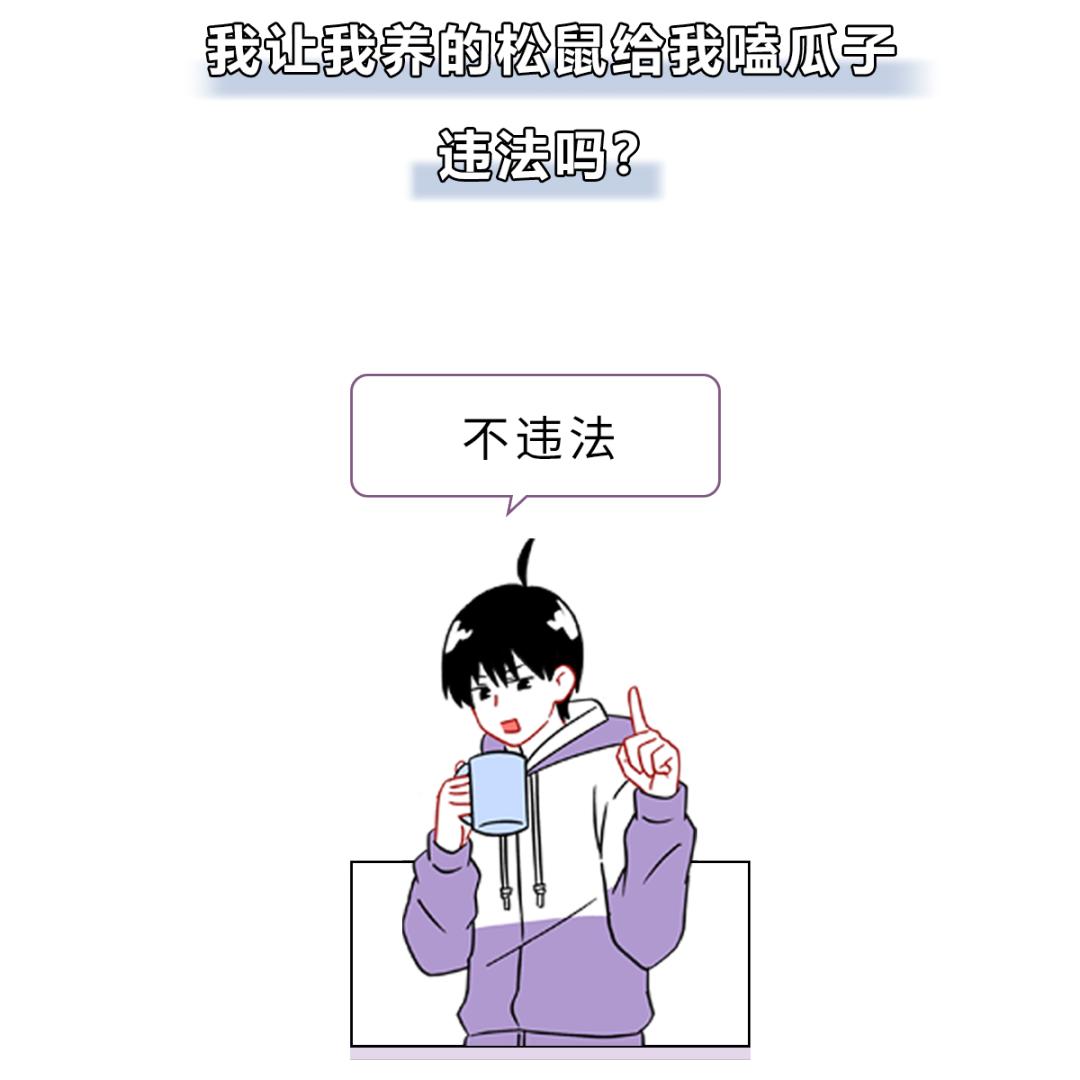 被峨眉山猴子打可以反击吗,峨眉山猴子被人类反杀