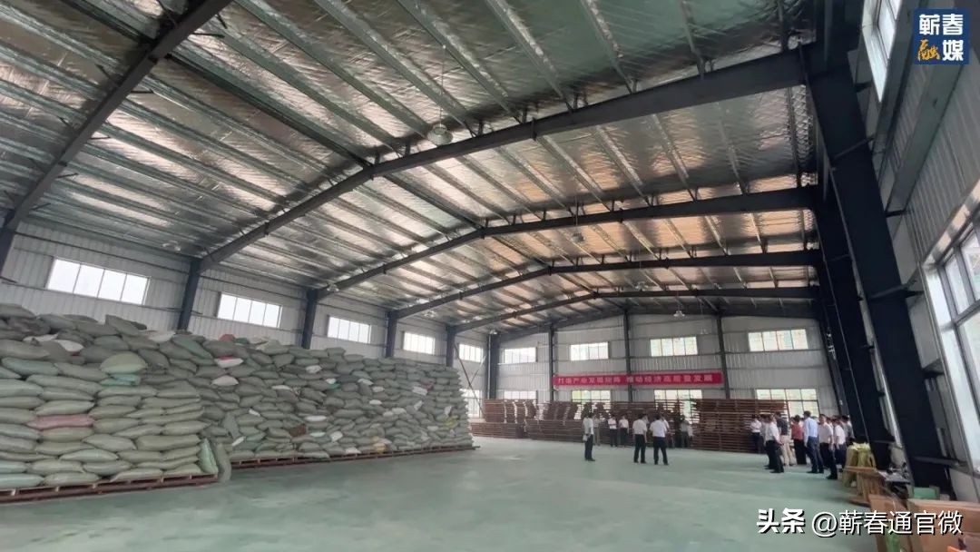 2024蕲春县重点项目,蕲春即将开工的最新大项目