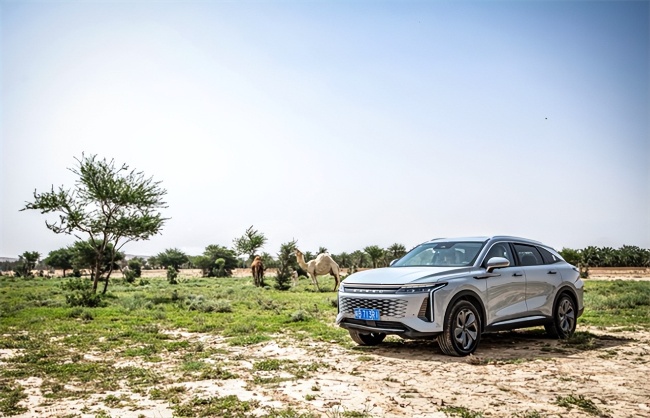 《跟着瑶光看世界》，用多项“第一”掀起短视频营销风暴