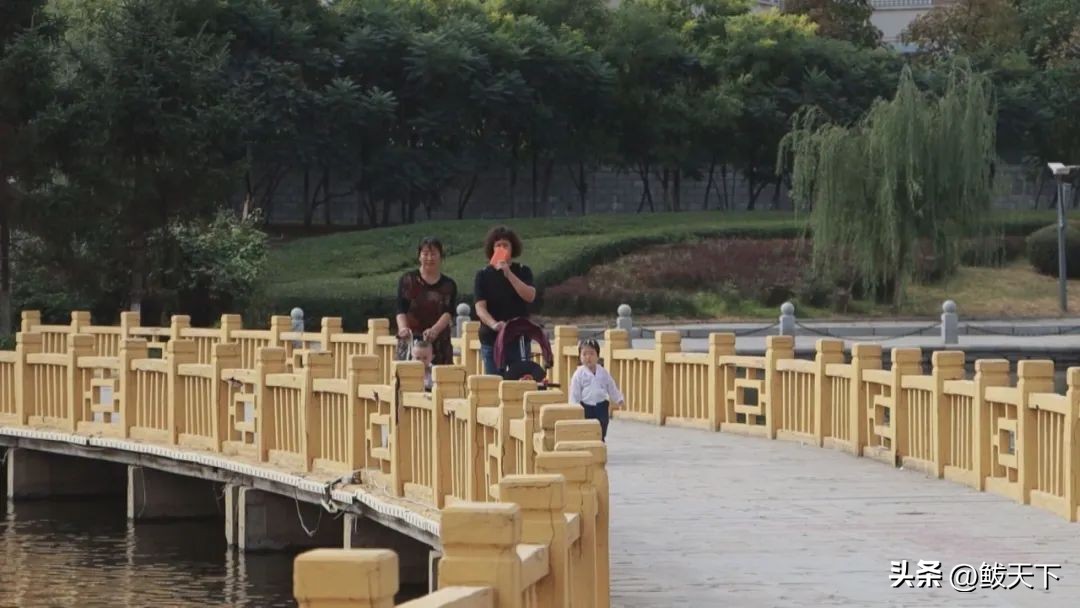 鲅鱼圈惠民工程,鲅鱼圈2018年惠民实事