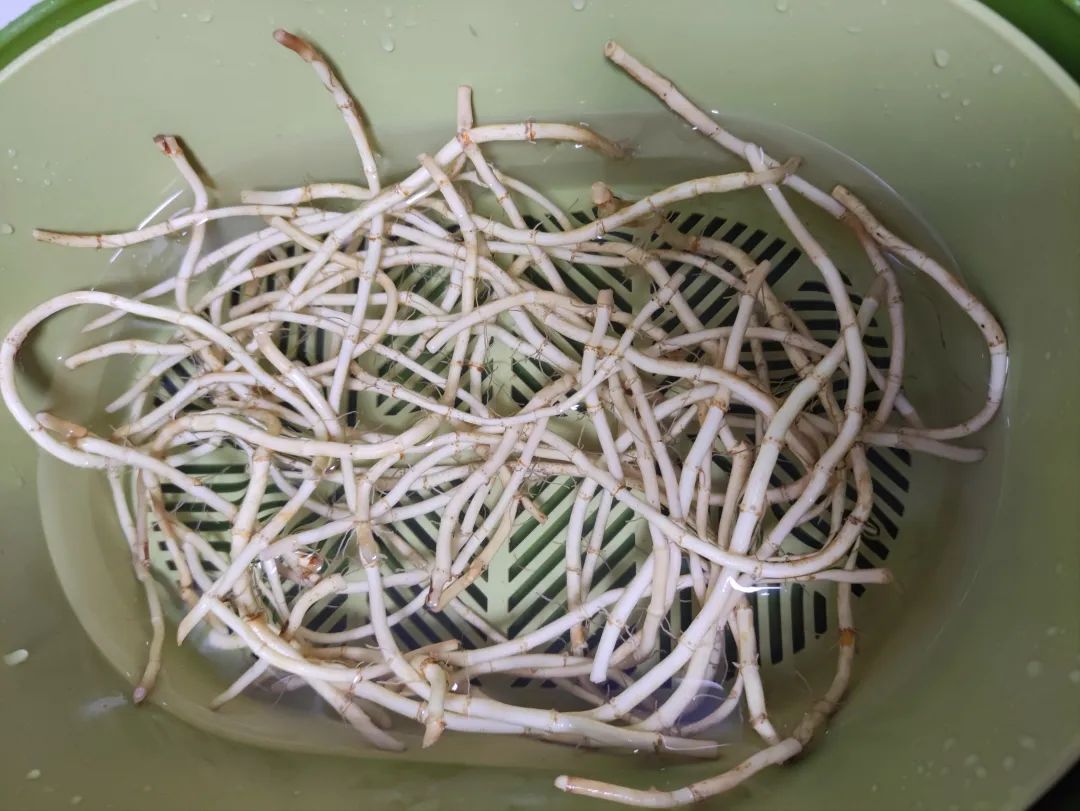 治疗咽痛喝什么,润肺止咳治咽痛