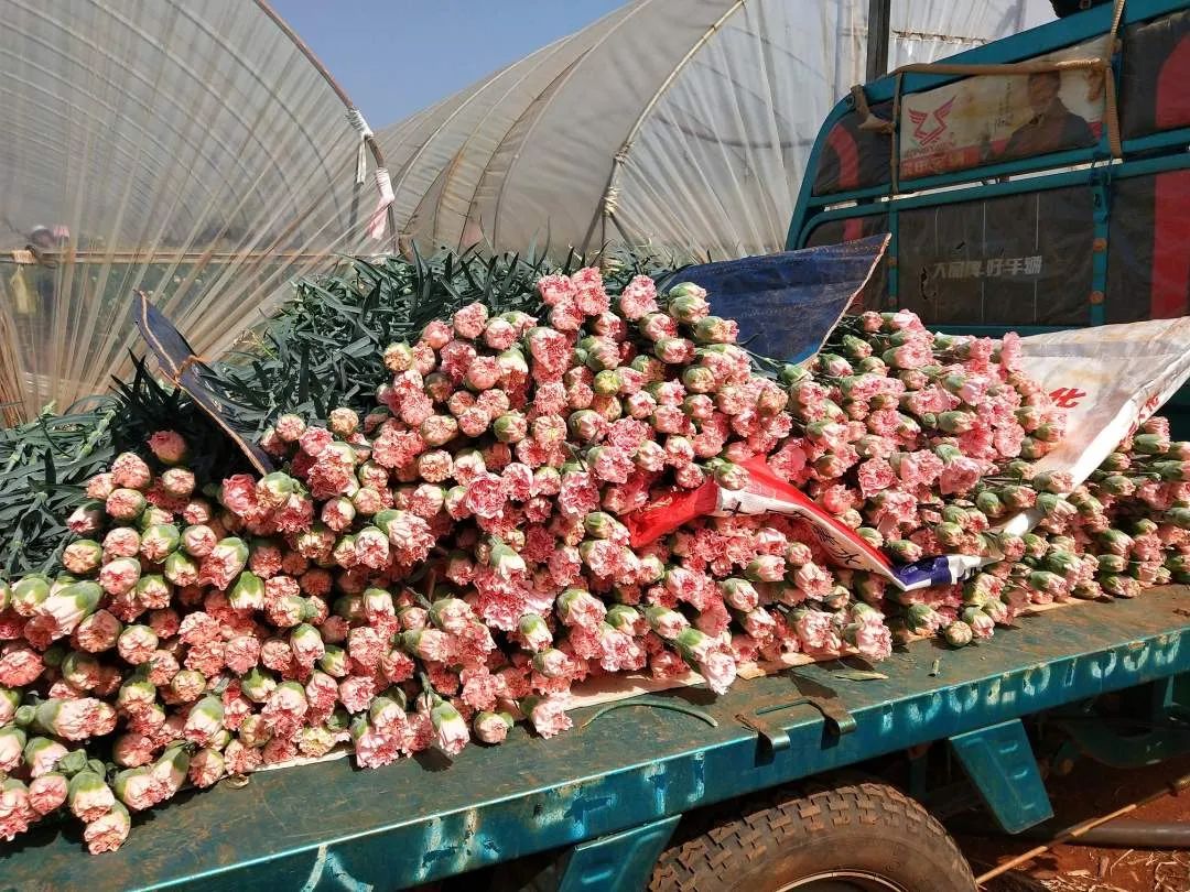 开远市经济发展,开远经济现状如何