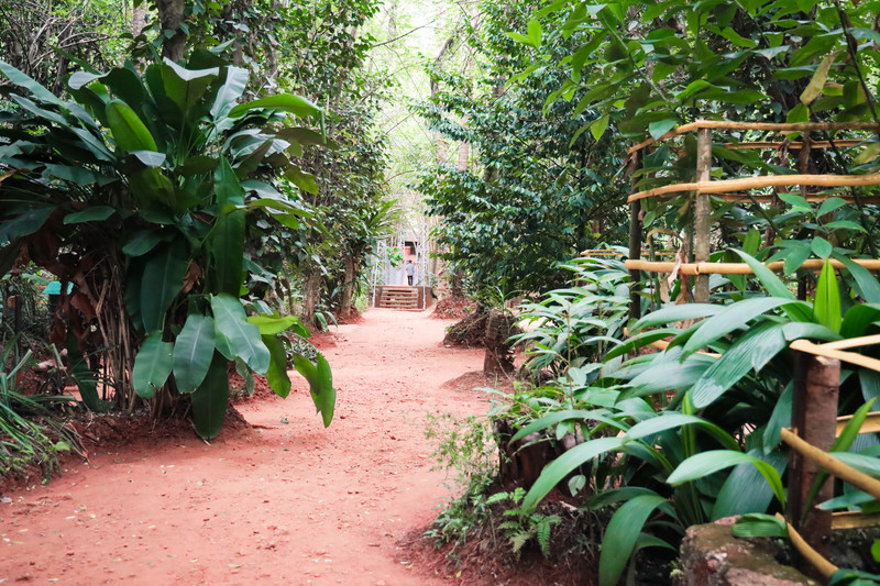 斯里兰卡旅游攻略必去景点,斯里兰卡旅游攻略最佳时间