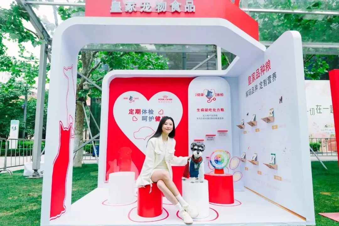 市区100平米宠物游乐园,宠物游乐场室内