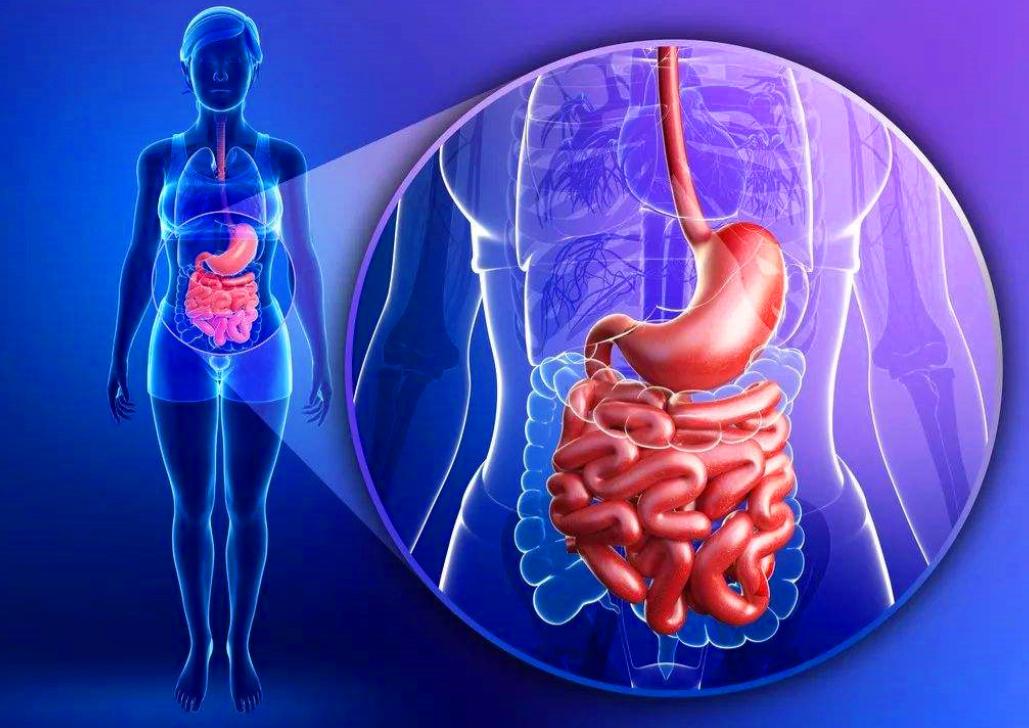 宇航员在太空内不允许放屁吗,宇航员在空间站能放屁吗