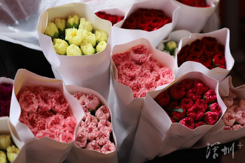 深圳八卦岭好玩的地方,深圳八卦岭附近拍照打卡圣地