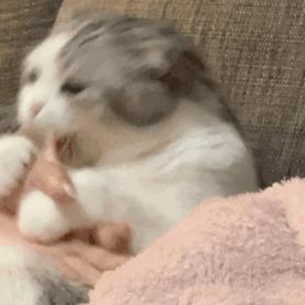 支持扩展的手机浏览器,支持扩展的ios手机浏览器