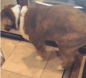 沙雕撩人幽默冷笑话,冷笑话沙雕搞笑句子大全