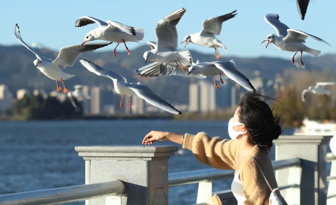 有一种生活叫做云南的生活,有一种叫云南的生活原文
