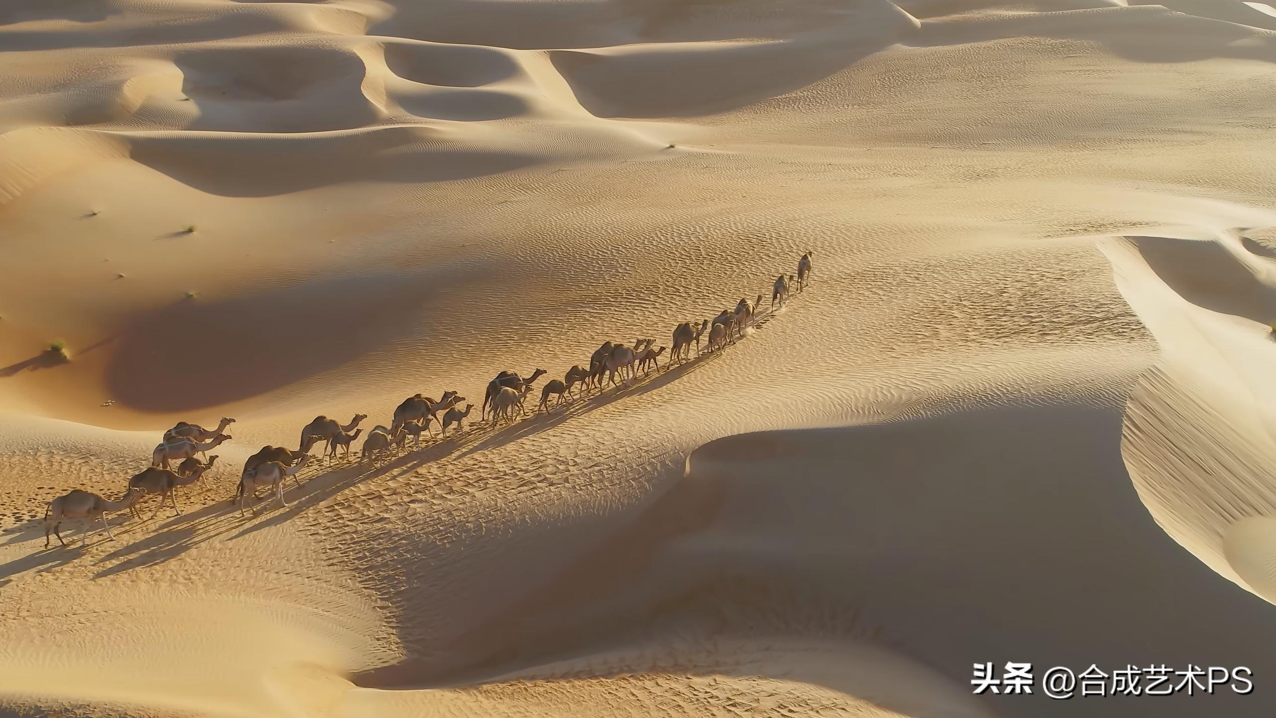全球最繁华的5个城市迪拜垫底,亚洲最发达的城市排行榜迪拜