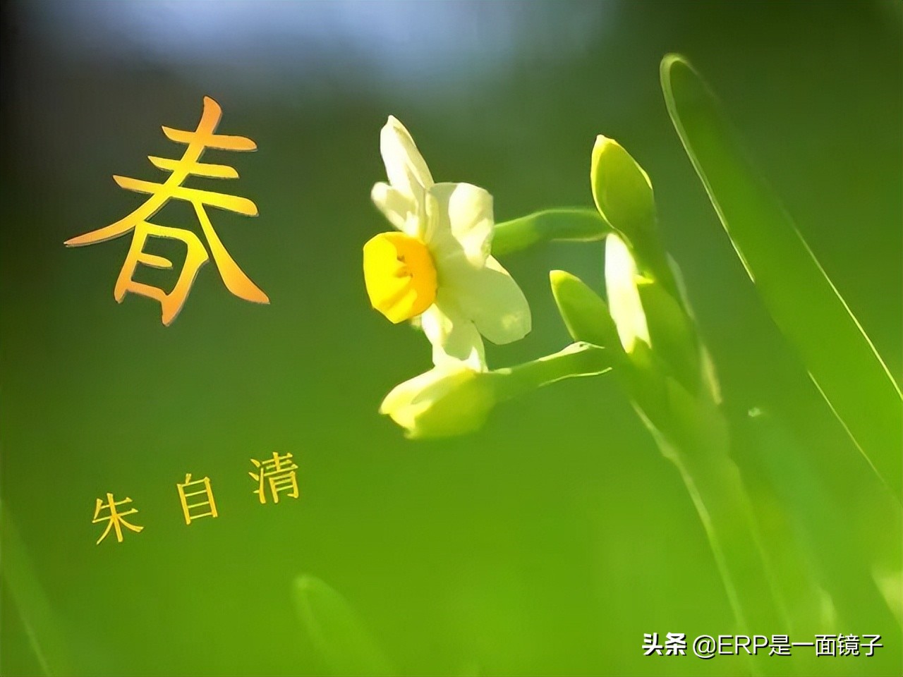 孩子背课文就哭怎么办,孩子背课文有什么技巧