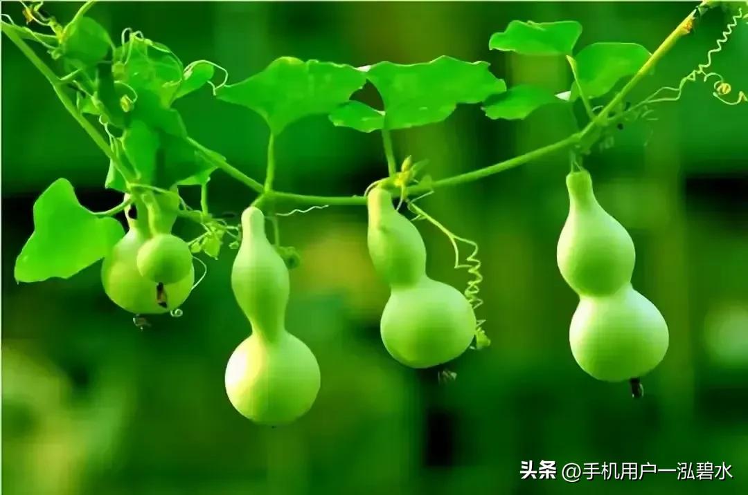 一副对联写尽了人生,对联一杯清茶伴岁月