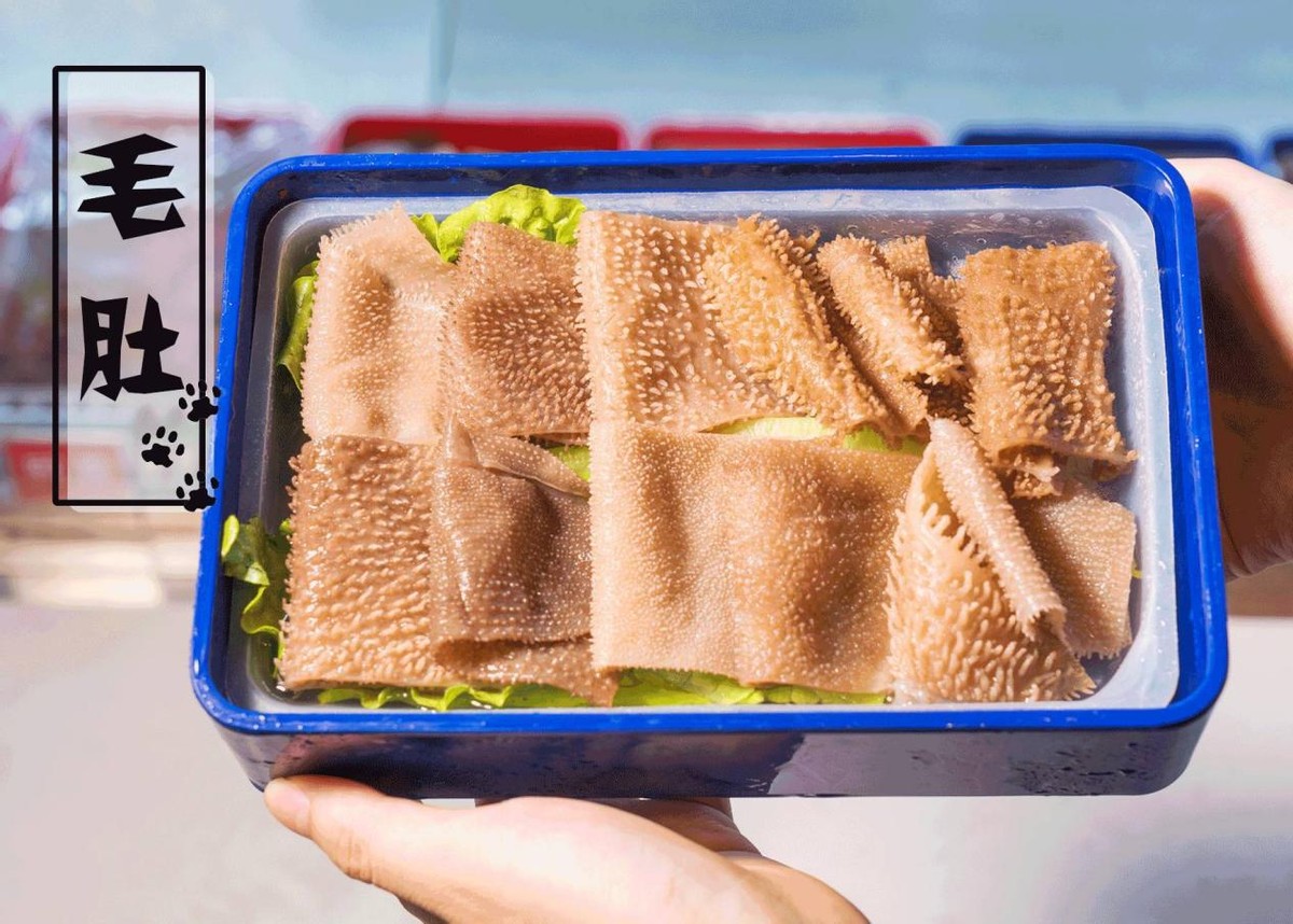 毛肚是不是百叶,毛肚是不是就是牛肚