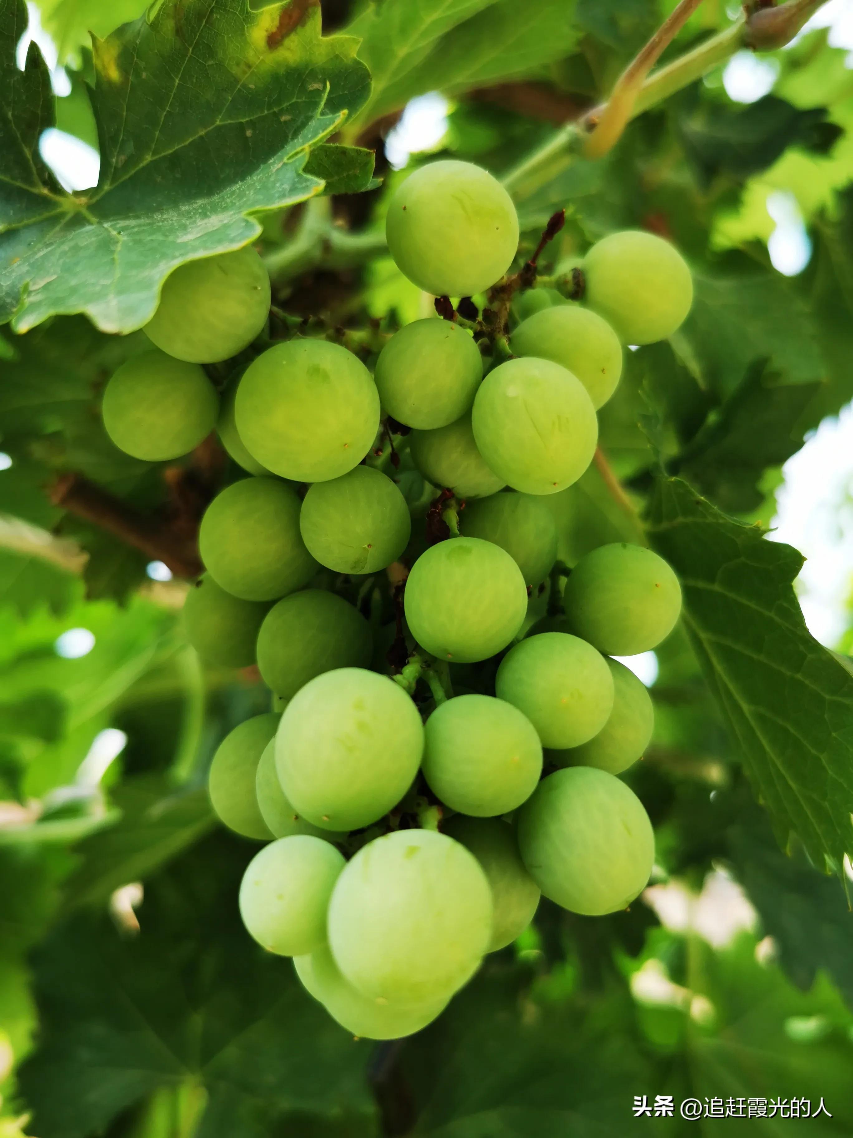 在哪里能租到北京的农家小院,北京哪里可以租农村小院