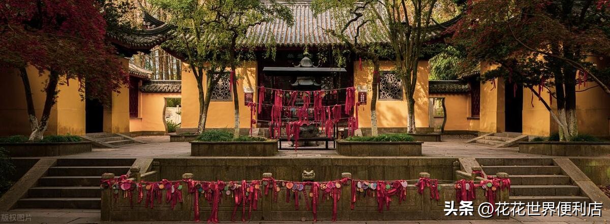 青浦城区和青浦新城板块有啥区别,上海五大新城青浦前景最好