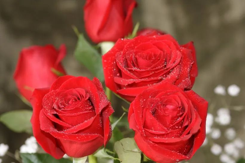 520祝福老婆永远健康快乐,520的平安祝福