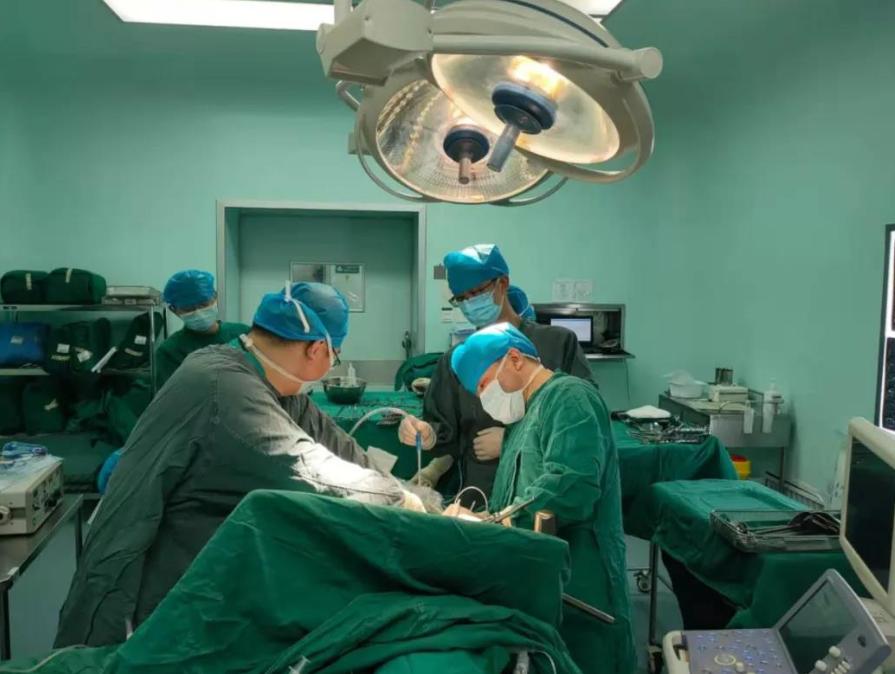 人身上有瘊子怎么处理,身上五种疣可能是hpv感染