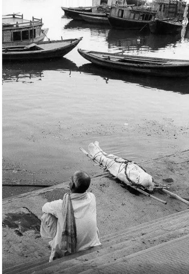在印度是吃人水怪,在云南就是道菜!快要消失的面瓜鱼有多好吃?