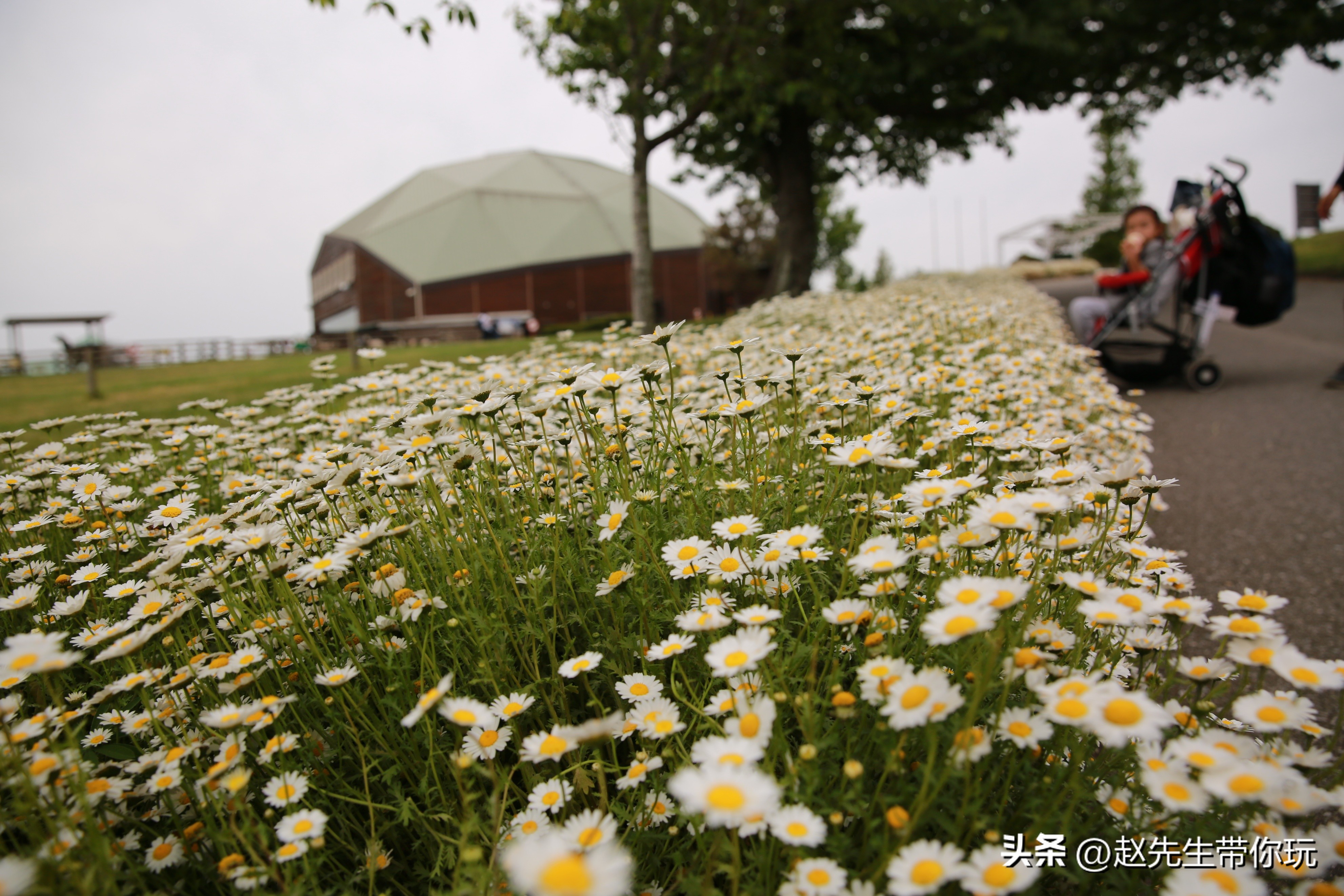 20年旅行总结,二十年游历分享