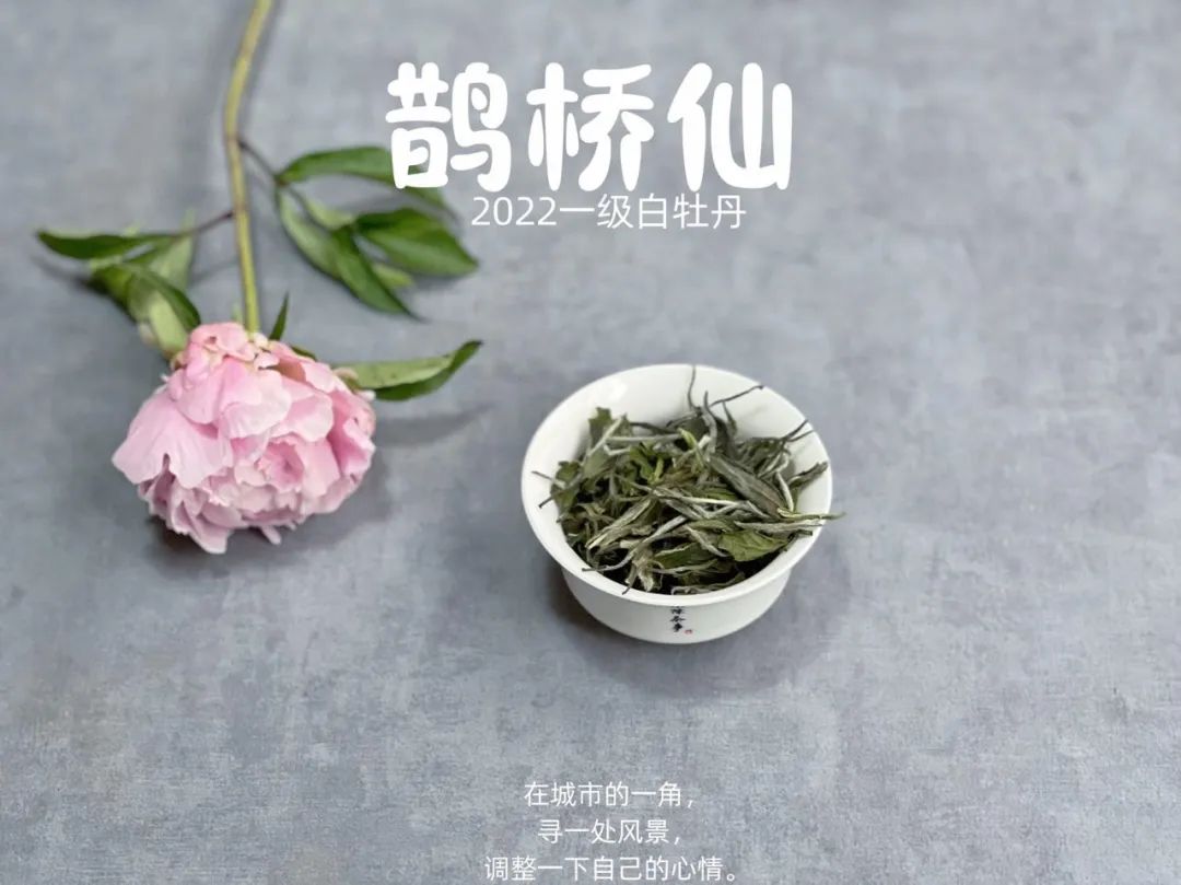 嫩的白茶怎么选购得好一点,白茶的购买方法和技巧