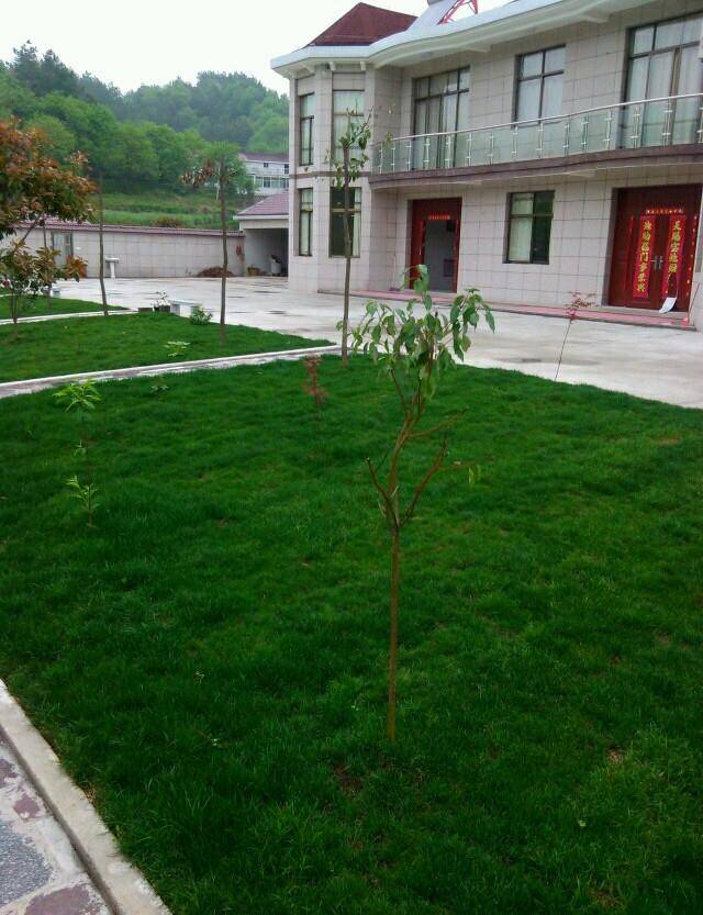 晒晒我家花30万建的别墅,晒一下我的农村小别墅